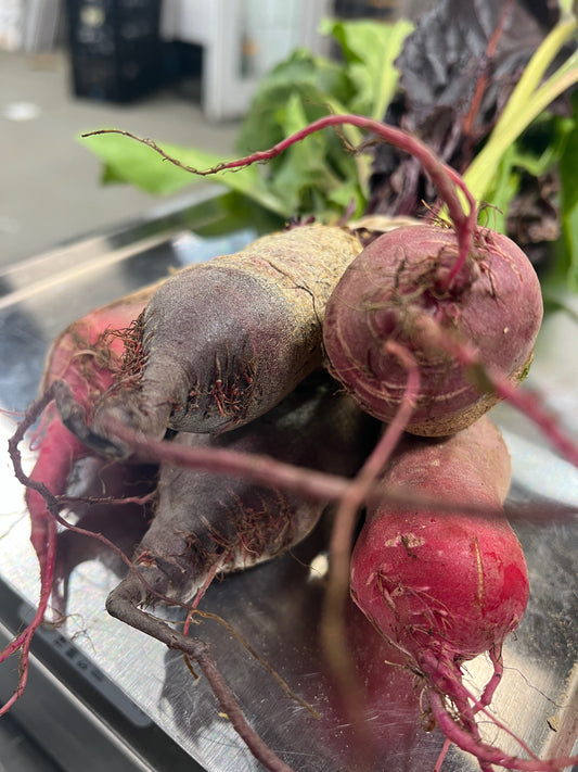 Organic Chioggia Beets, Organic (per lb)
