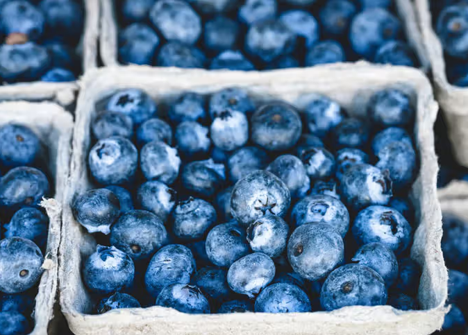 Bluberries - 1 pint