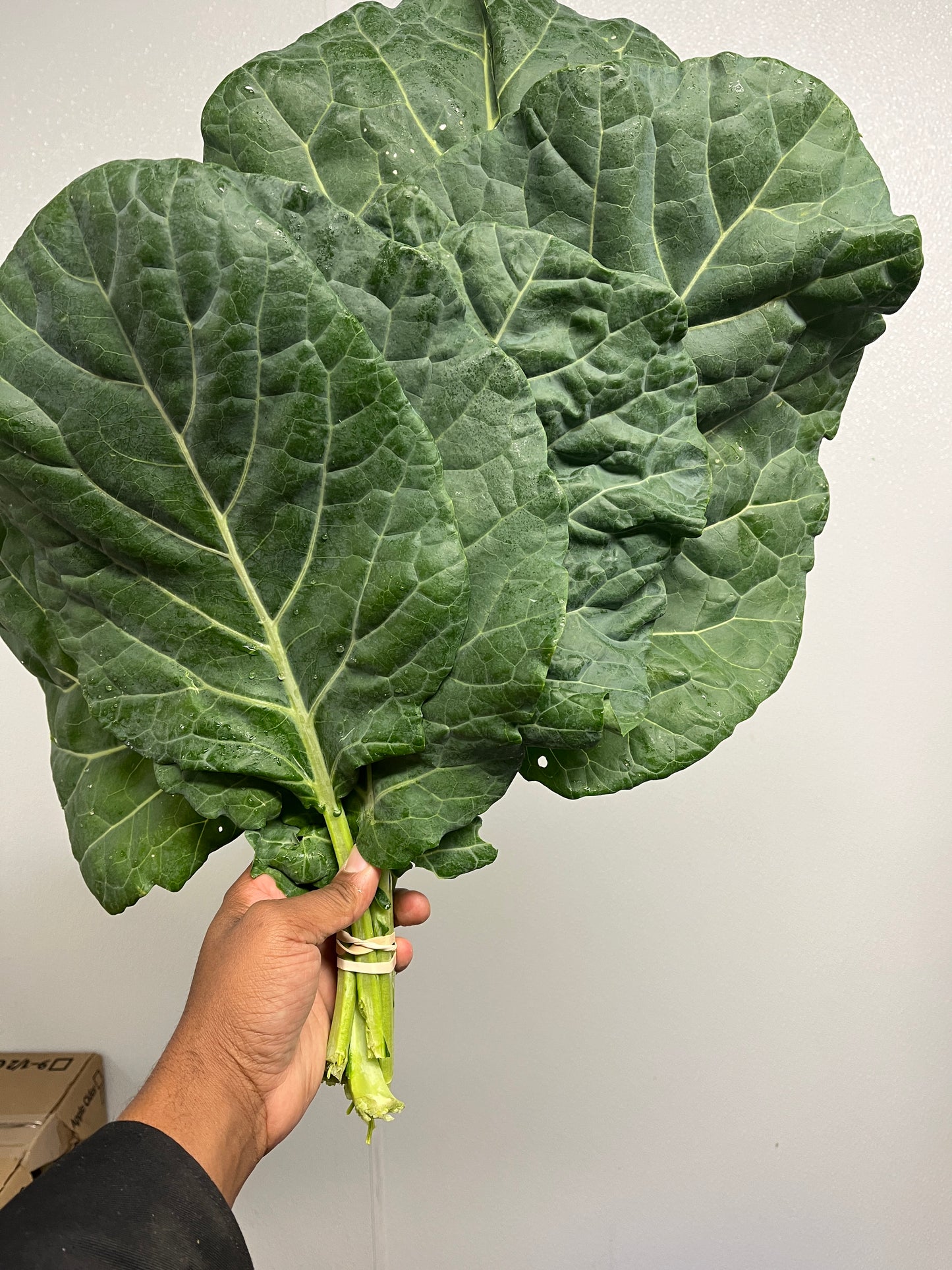 Collard Greens - Konterra Life Farm (MD) per bunch