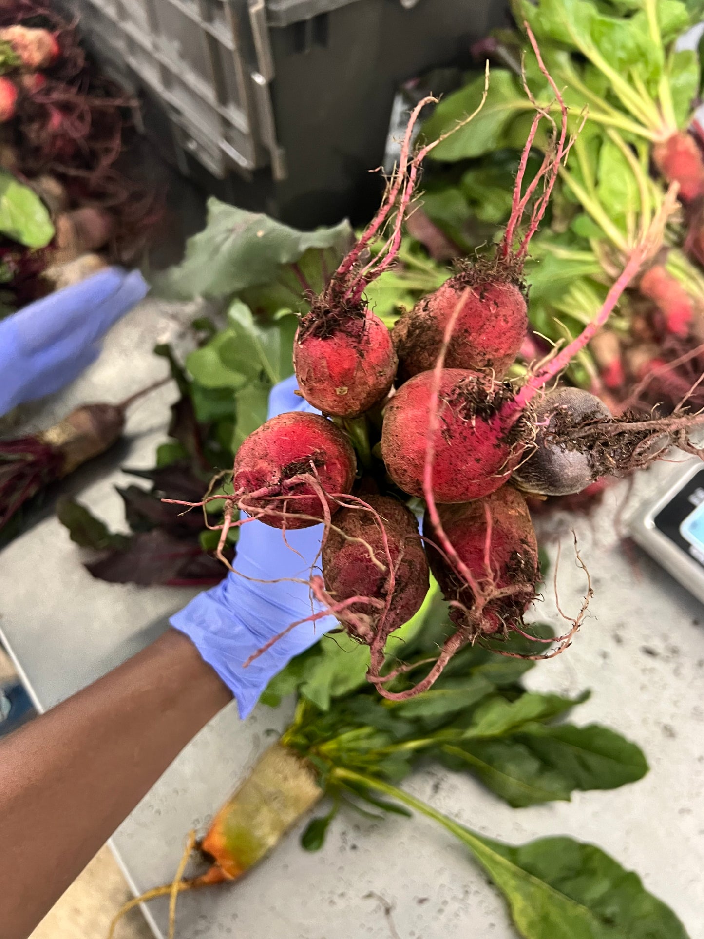 Beets with greens (organic) (local)