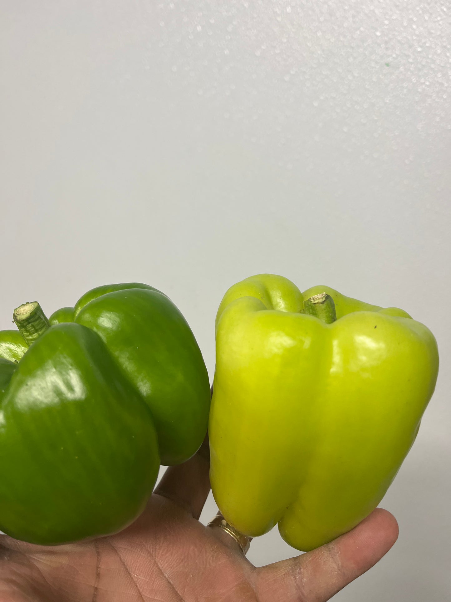 Organic Bell Peppers (Green and Yellow) - per lb.