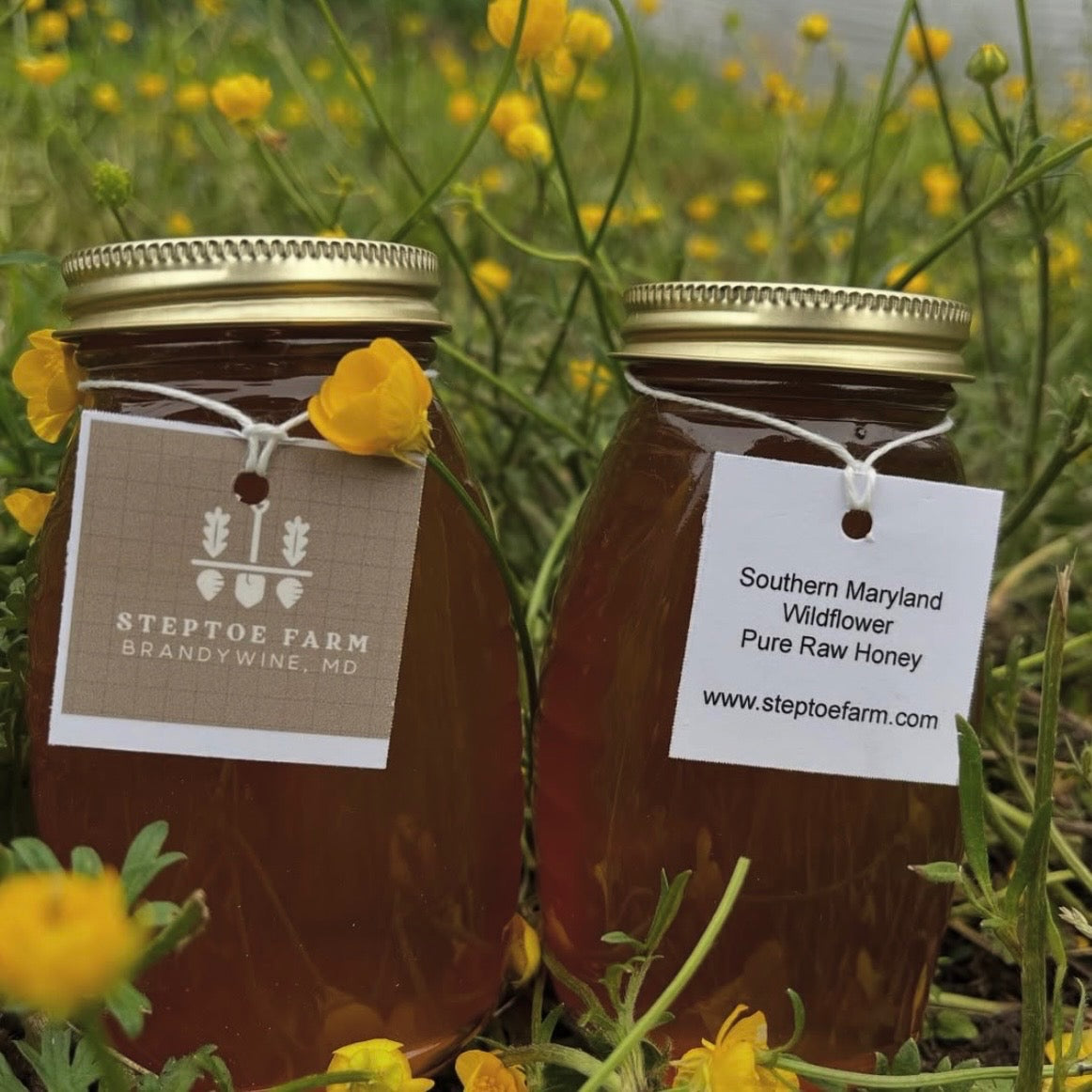 Raw Unfiltered Honey (Steptoe Farm, Brandywine MD)