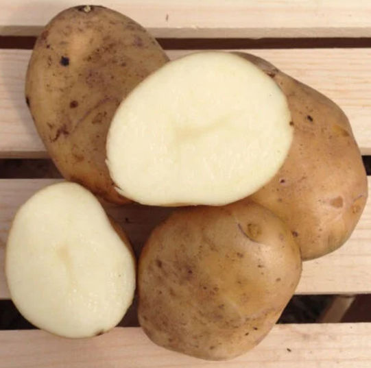 Organic Gold Potatoes (per lb.)