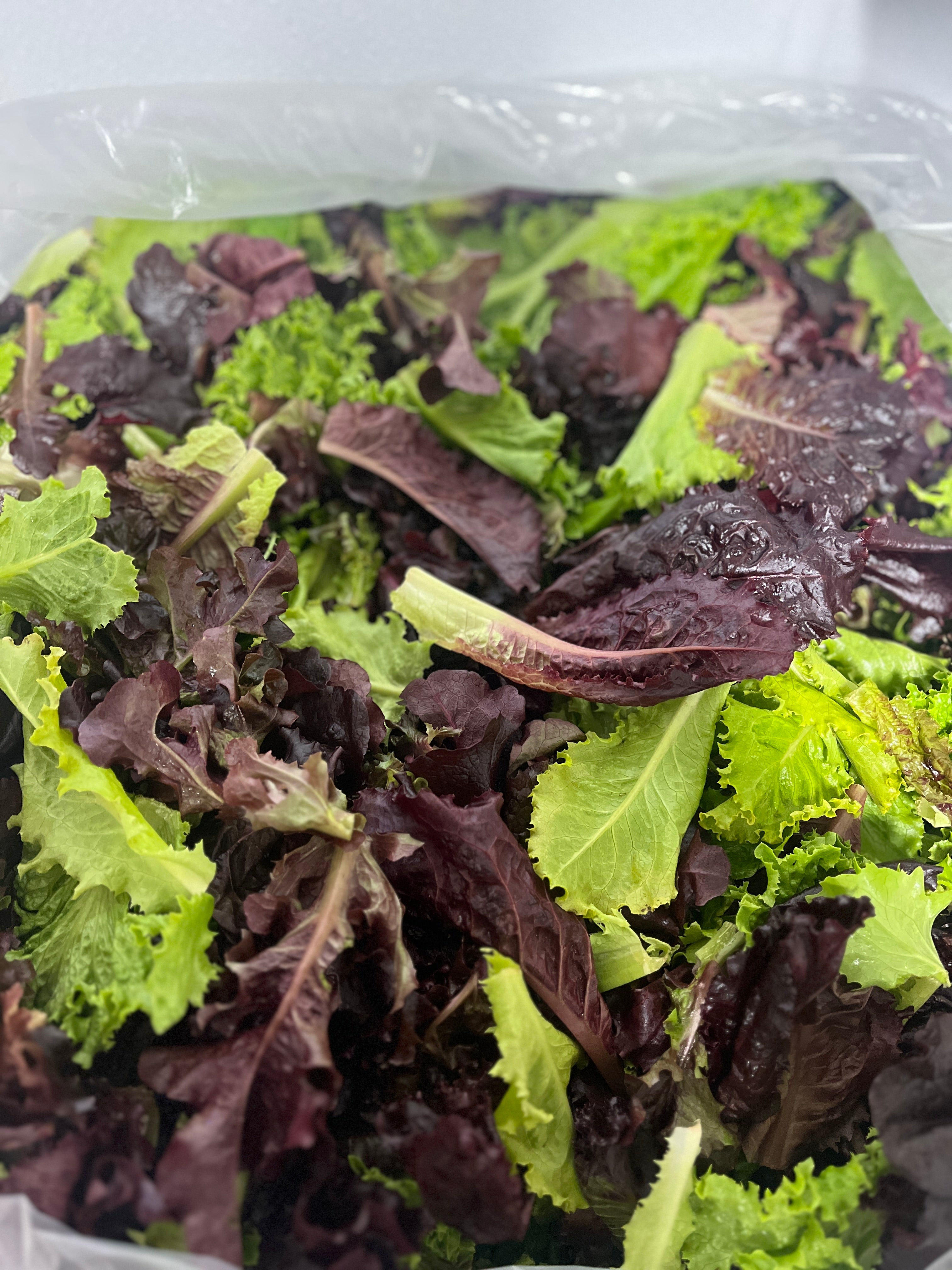 Sweet and Spicy Lettuce Mix (Organic) - 4 ounces - The People's Market DMV