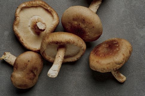 Shiitake Mushrooms (Per Pound)