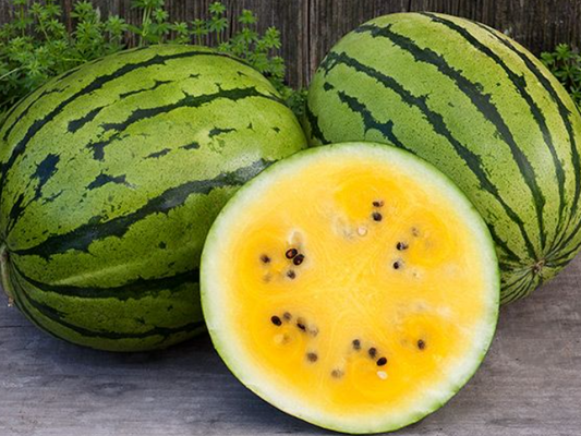 Small Seeded Yellow Watermelon