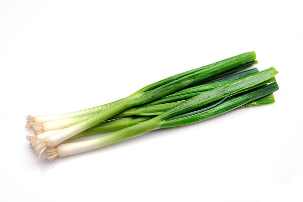 Green Onions (Mudstain Farm, Brandywine, MD)