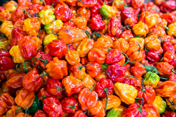 Habanero Peppers (12 peppers)