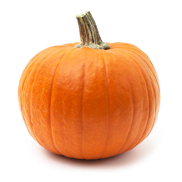 Halloween Pumpkin (Great for Carving and Eating)