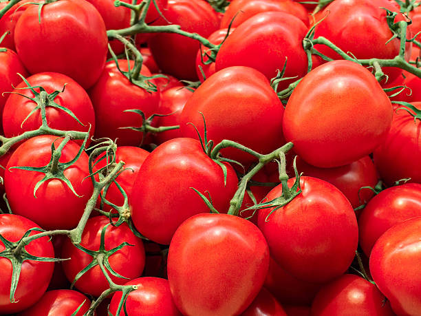 Organic Red Tomatoes (Sold Per Pound)