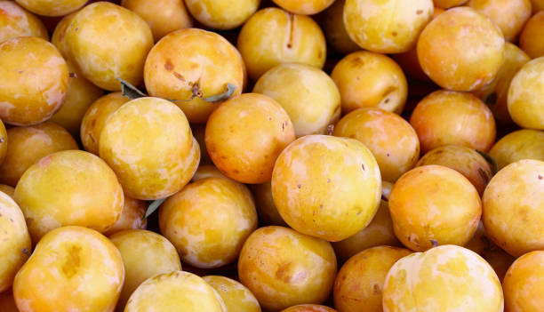 Plums, Yellow
