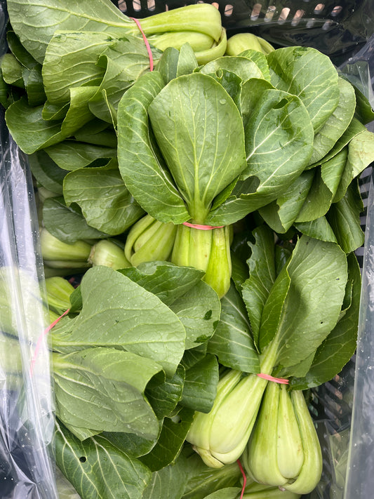 Bok Choy (organic)- per lb.