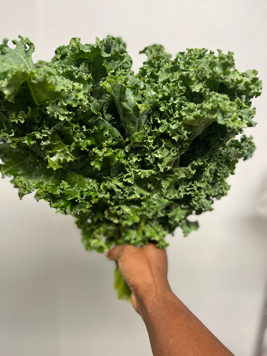 Kale (organic) - Franklin Sustainable (PA) per bunch