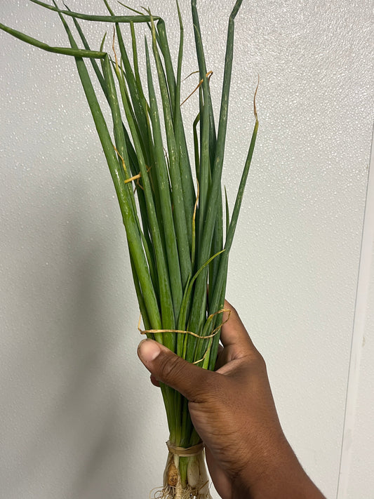 Scallions (Natural) - MD