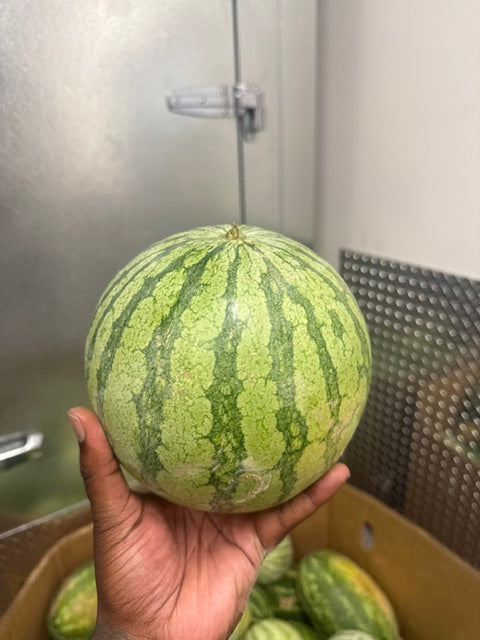 Small Seeded Yellow Watermelon