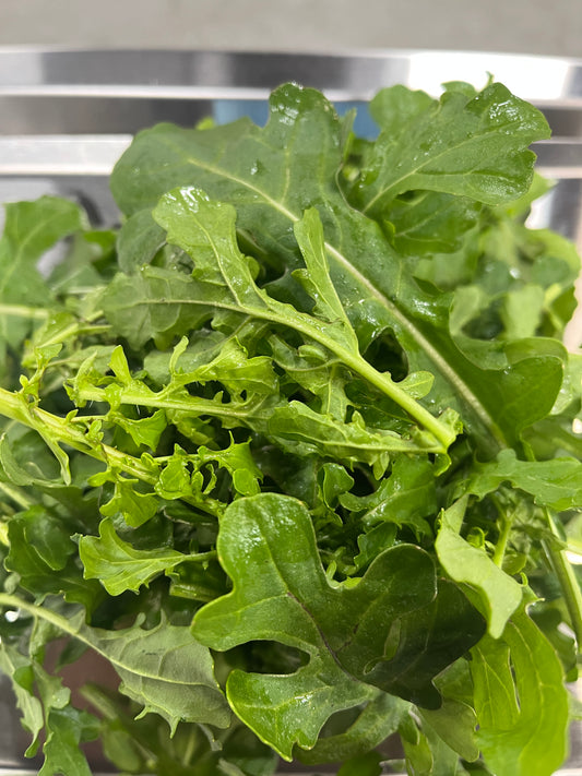 Arugula - Konterra Life Farm (MD) - 4 ounces