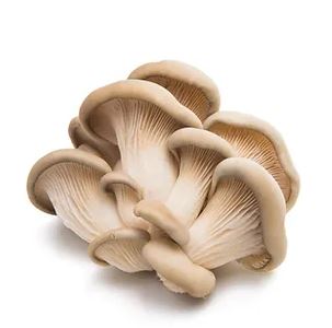 Local Blue Oyster Mushrooms from Eightfold Farms (1 lb)