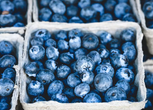 Bluberries - 1 pint