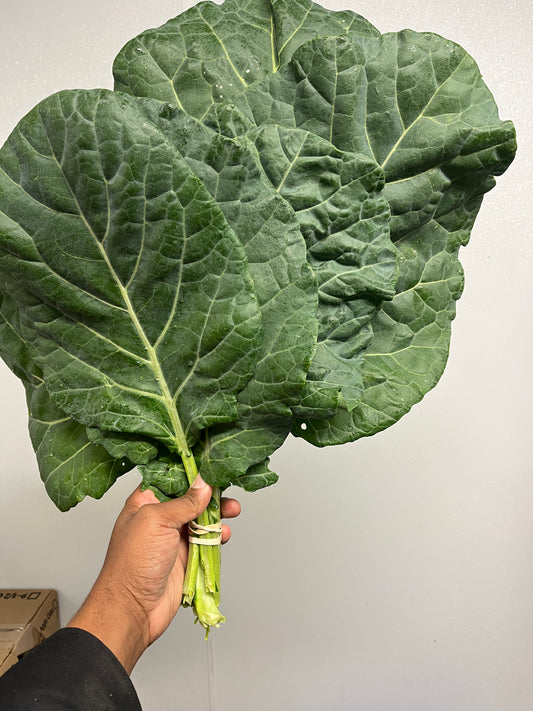 Collard Greens - Konterra Life Farm (MD) per bunch