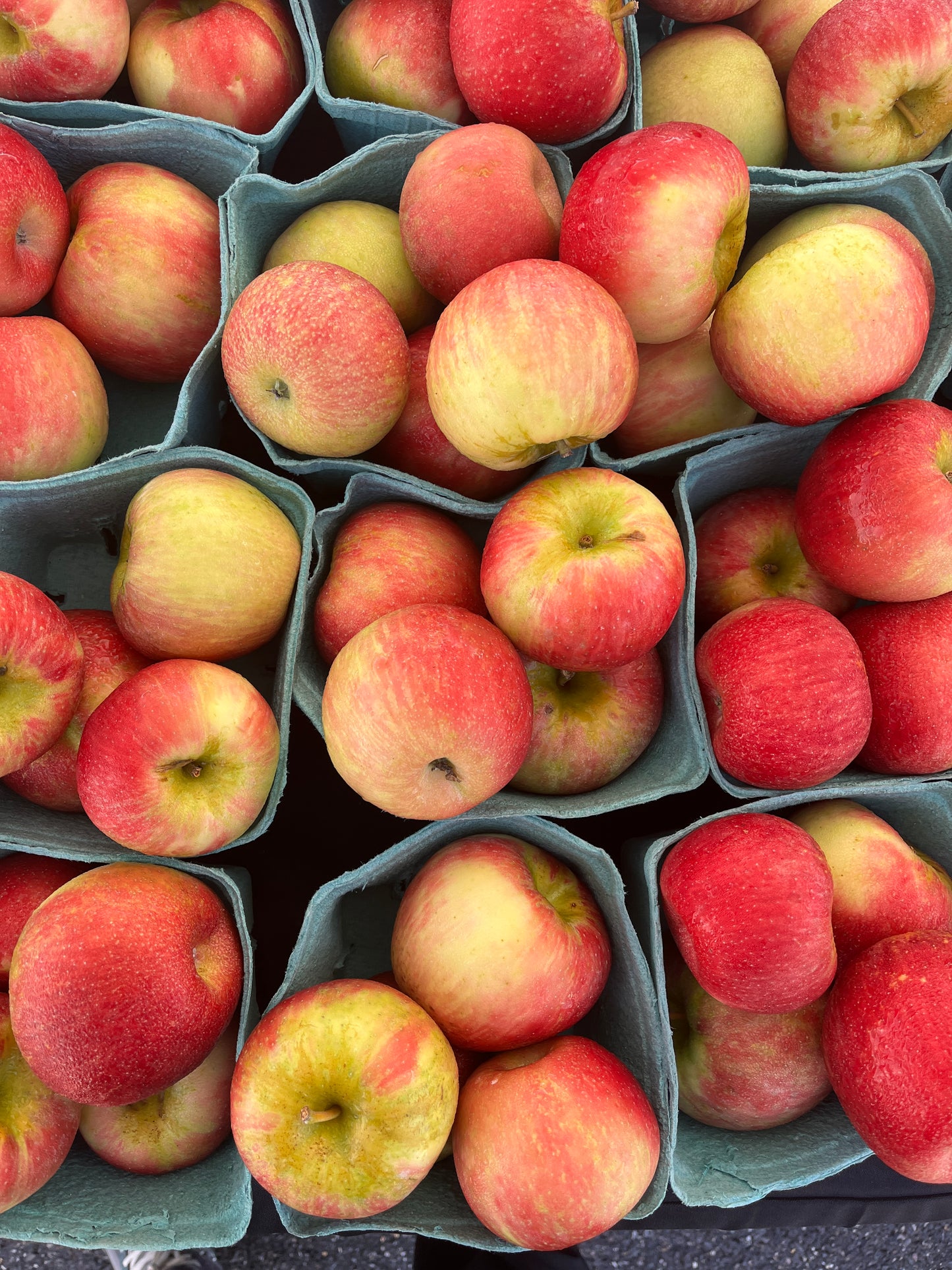 Evercrisp Apples (per lb.)