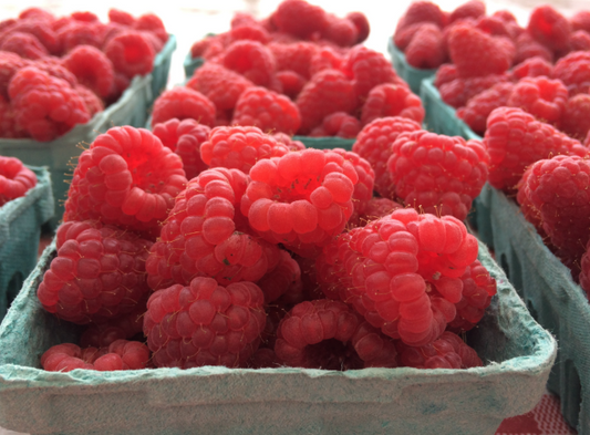 Organic Red Raspberries - half pint