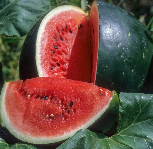 Seeded Sugar Baby Watermelon (organic)