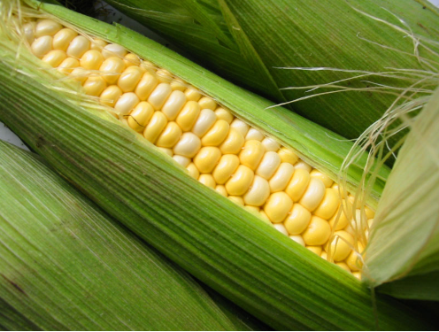 Organic Local Sweet Corn (Per Ear)