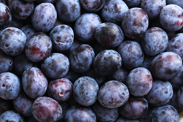 Plums, Blue (per lb)