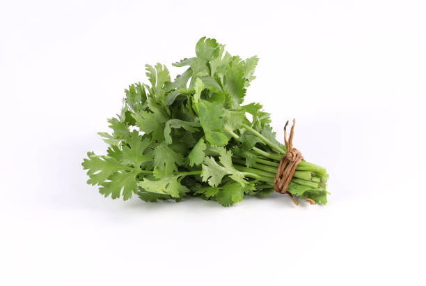Cilantro (Naturally Grown)