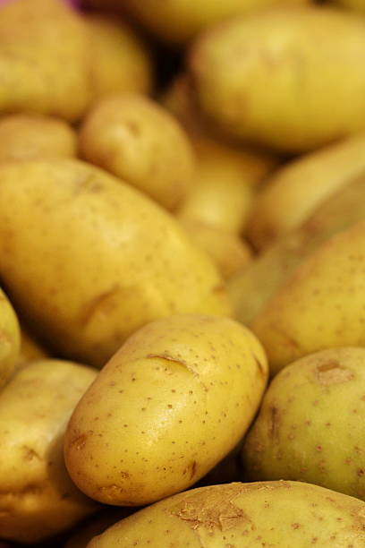 Potatoes, Kennebec White