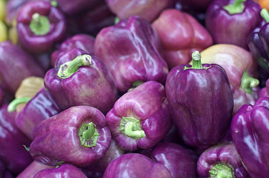 Organic Bell Peppers (Purple) - per lb.