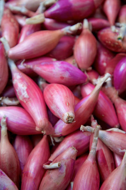 Shallots, Red per half lb (~4-5 shallots)