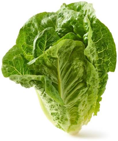 Romaine Lettuce Loose (.5lb bag)