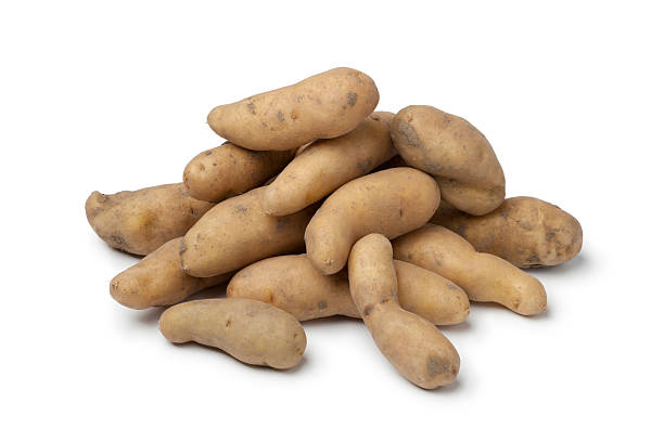 Potatoes, Russian Banana Fingerling