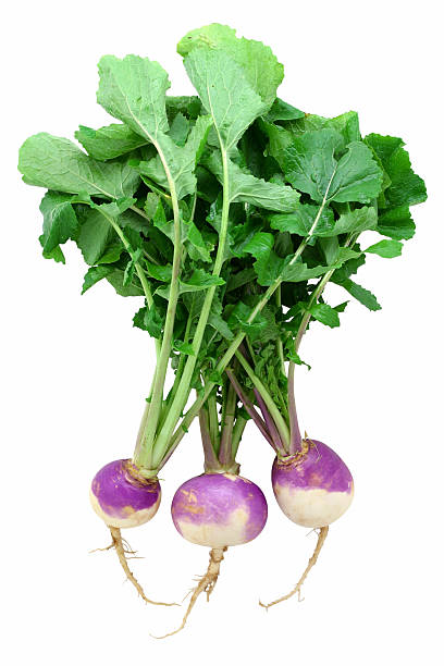 Scarlet Queen Turnips with Tops (bunch)