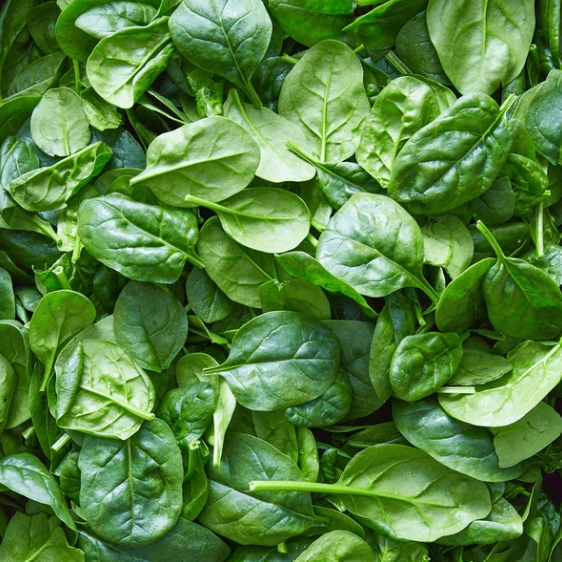 Organic Baby Spinach - 4oz