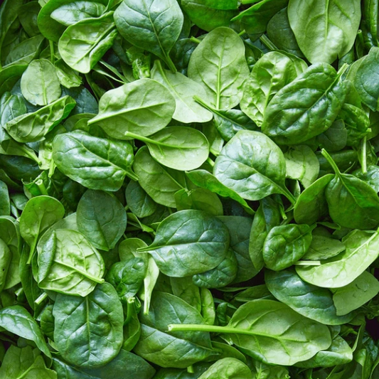Organic Baby Spinach (4 oz)